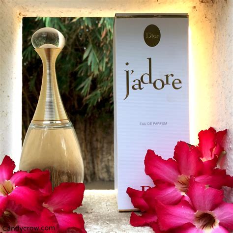 what does j'adore dior smell like|j'adore perfume reviews.